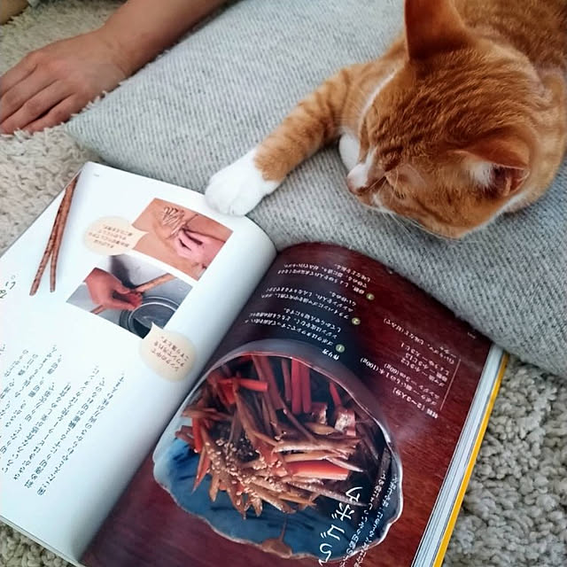 mokoさんの実例写真