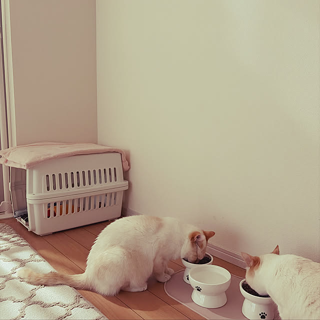 YUKIFUKUさんの実例写真