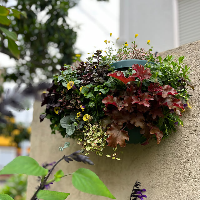 yukarin-gardenさんの部屋