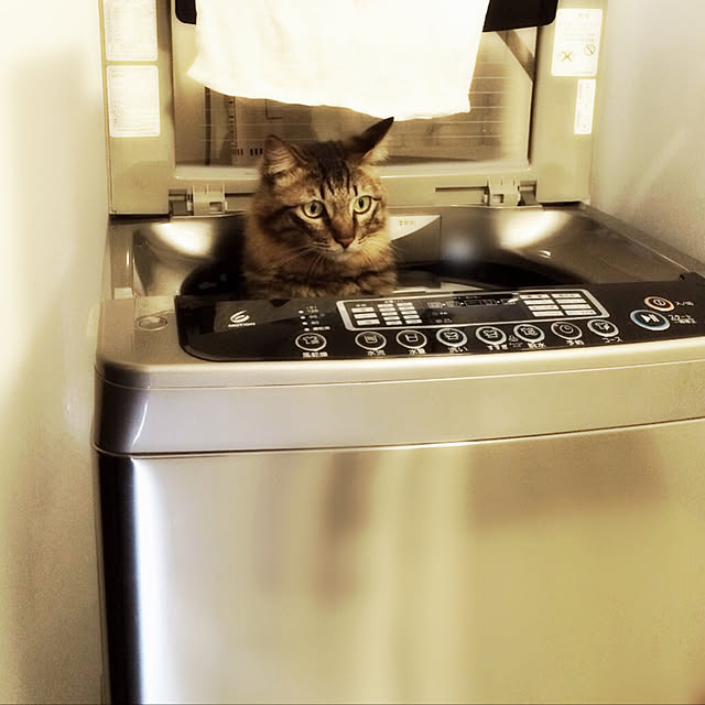 weさんの実例写真