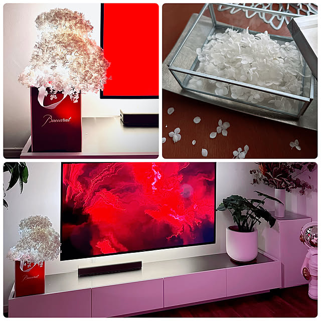 hanahana1444さんの部屋