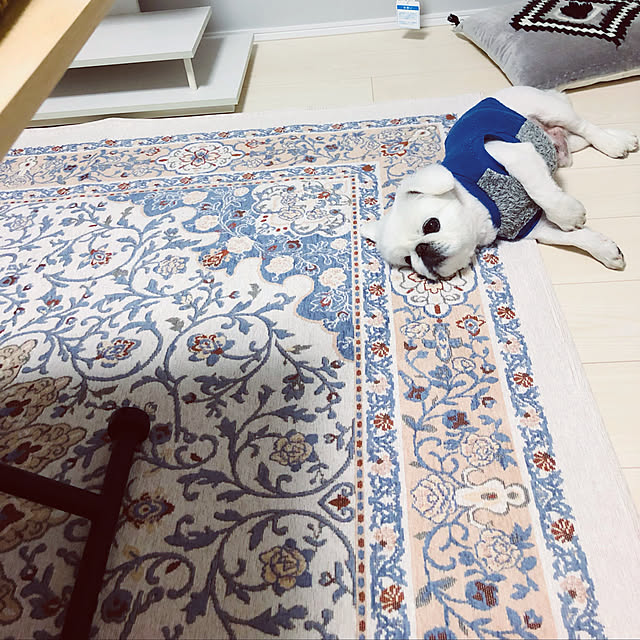 missさんの実例写真
