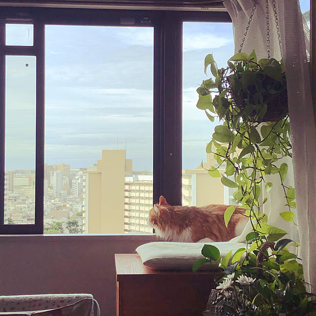 uchidaizuさんの実例写真