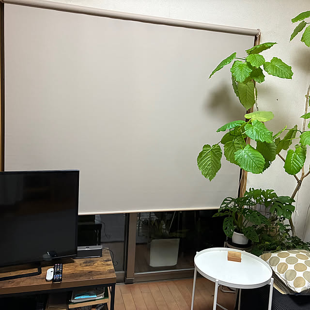 cagosukiさんの実例写真