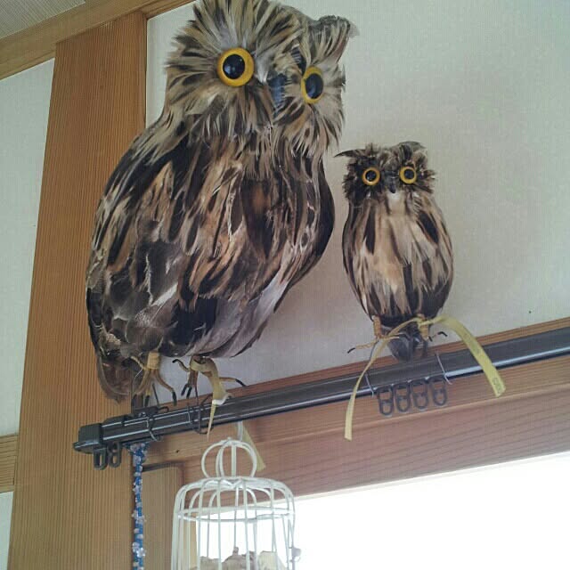 akubi28nさんの実例写真