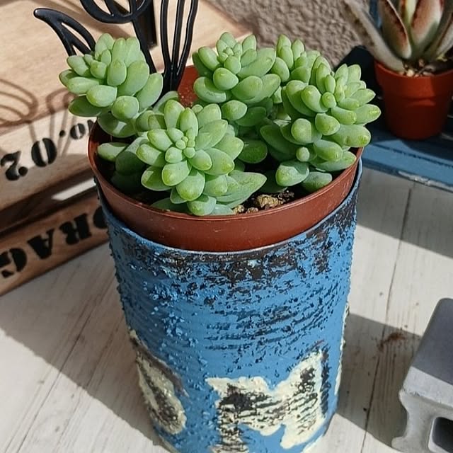 meiさんの実例写真