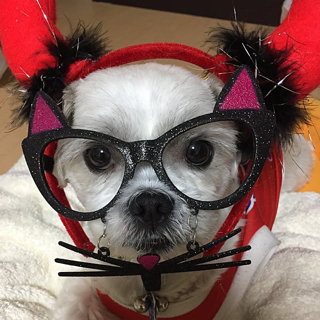emiさんの実例写真