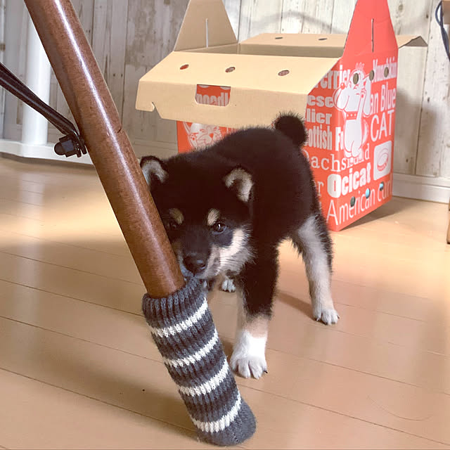 mo-nosukeさんの実例写真