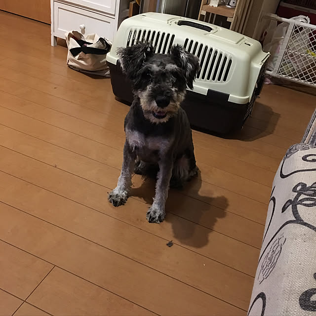 Mikaさんの実例写真