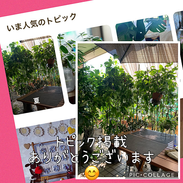 Aqettyさんの実例写真