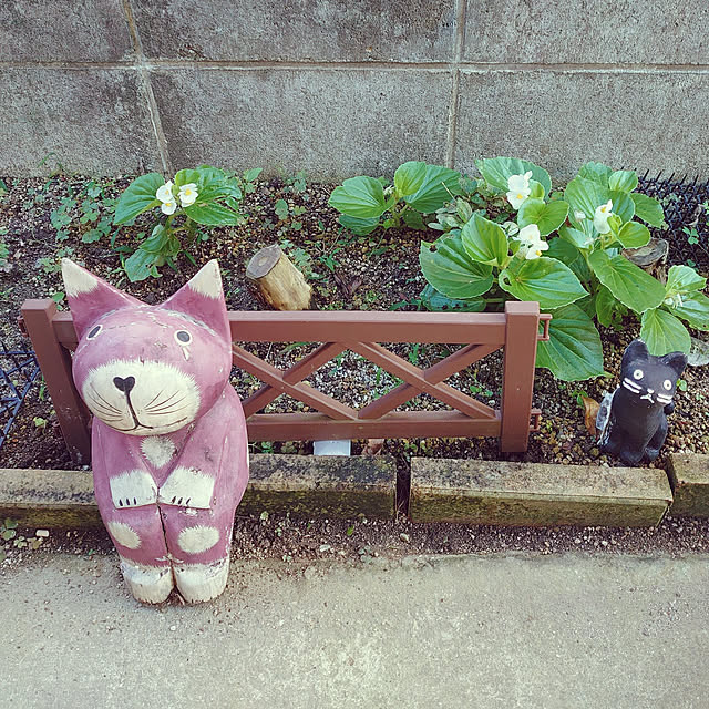 fukuさんの実例写真