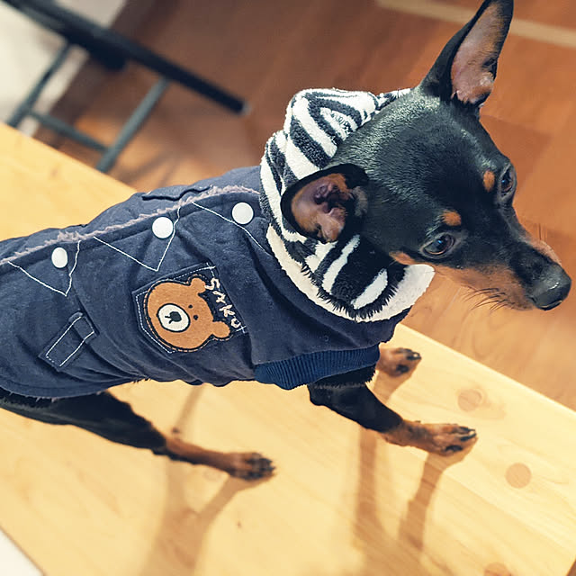 shizuponさんの実例写真