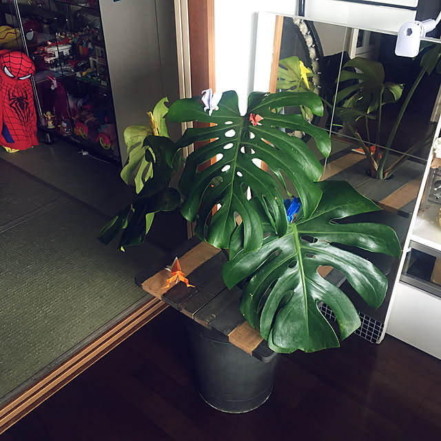 0415さんの実例写真
