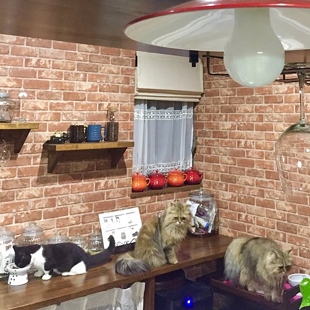 butachanさんの実例写真