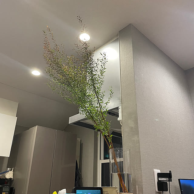 ikuzakさんの部屋