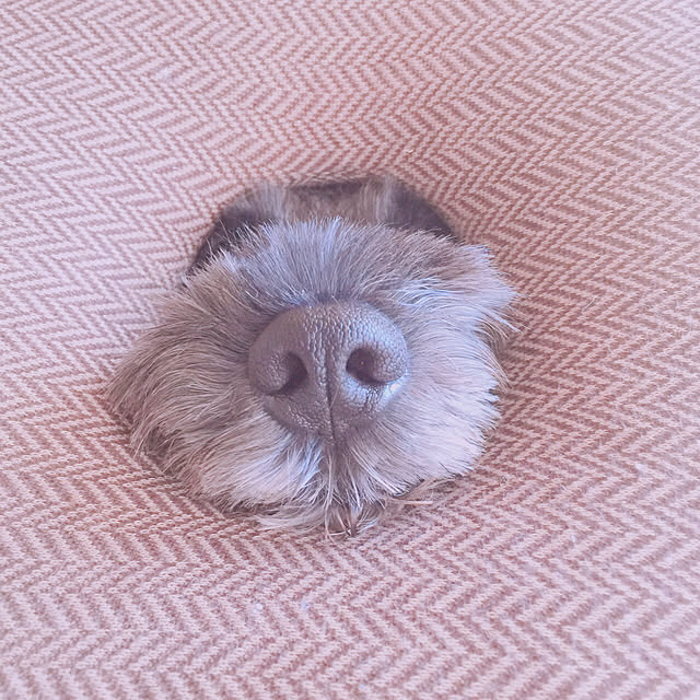 Haruさんの実例写真