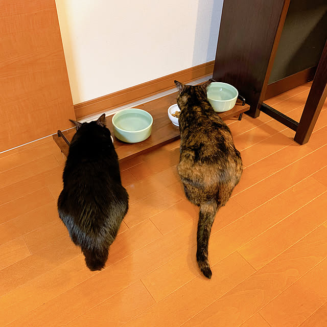 mameazさんの実例写真