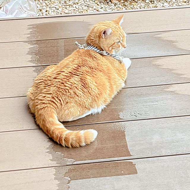 moolさんの部屋