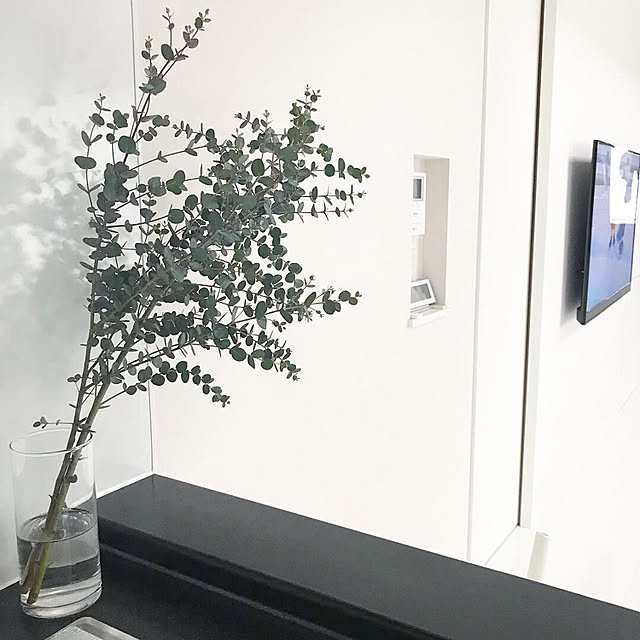 gypsophila_elegansさんの実例写真