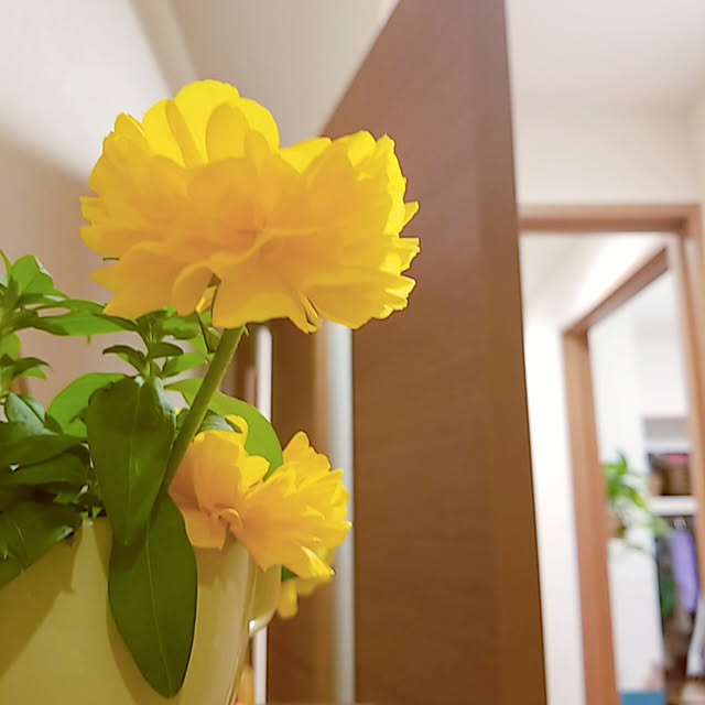 keikomokonさんの実例写真