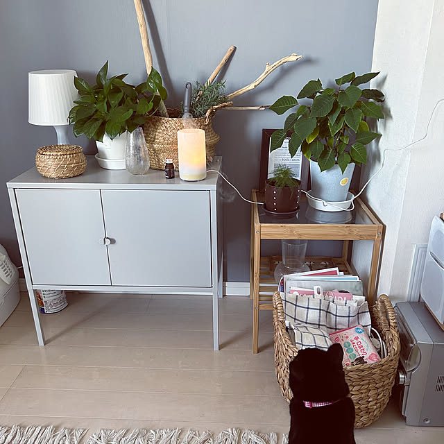 nekomiさんの部屋