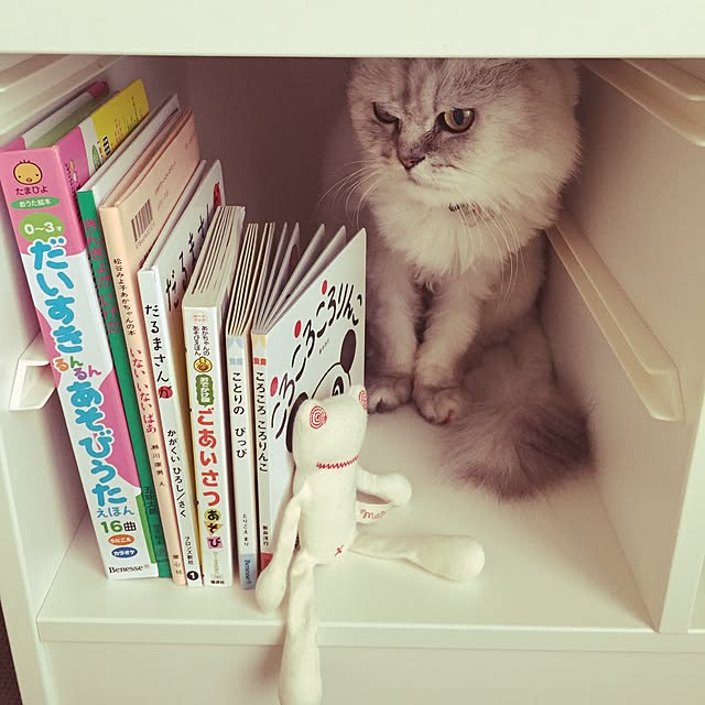 8さんの実例写真