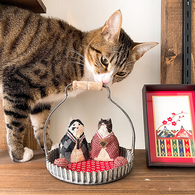 nobikoさんの実例写真