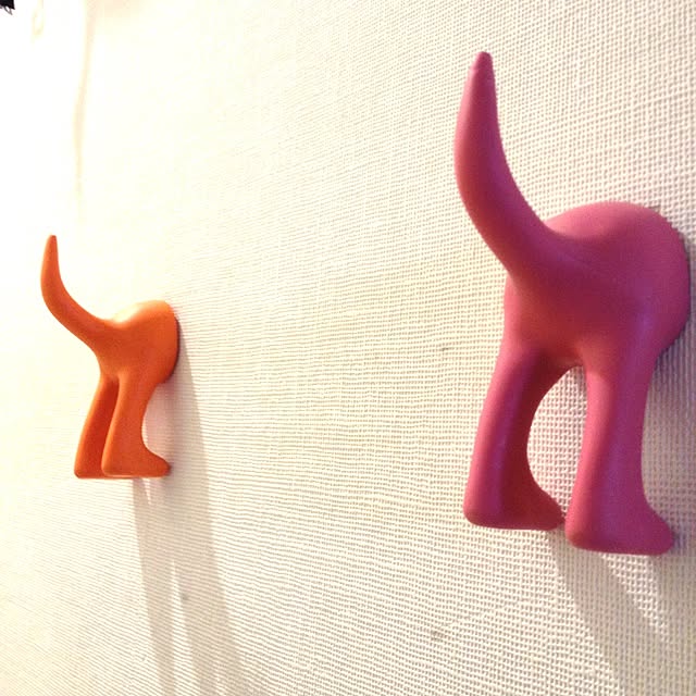 cocotaroさんの実例写真