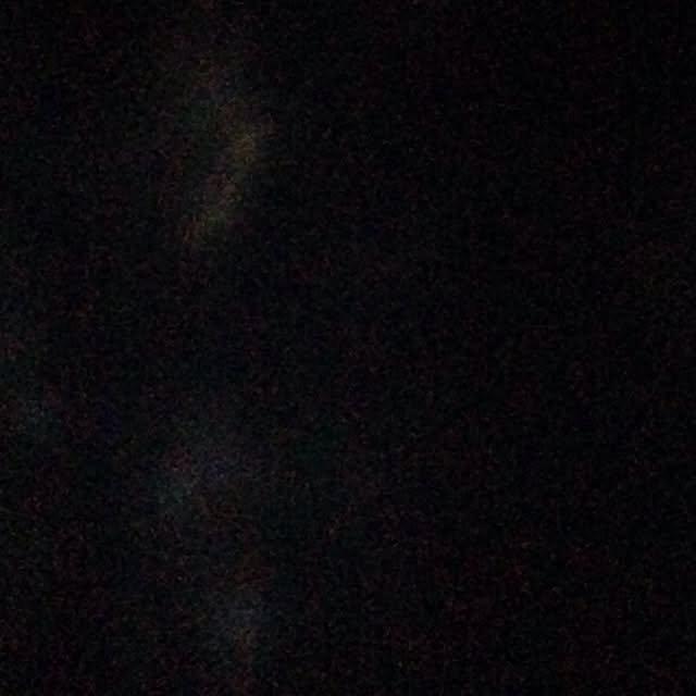 saruさんの実例写真