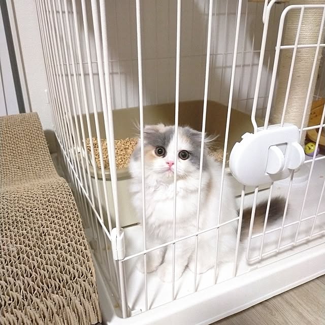 Dmamaさんの実例写真