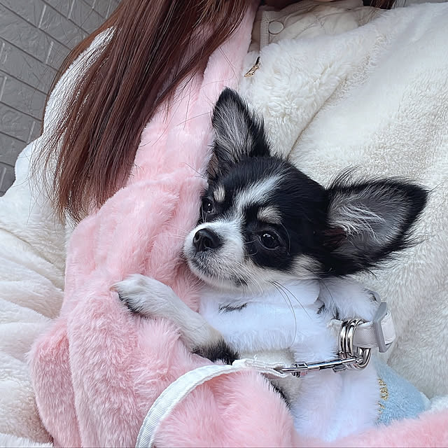 serotiさんの部屋