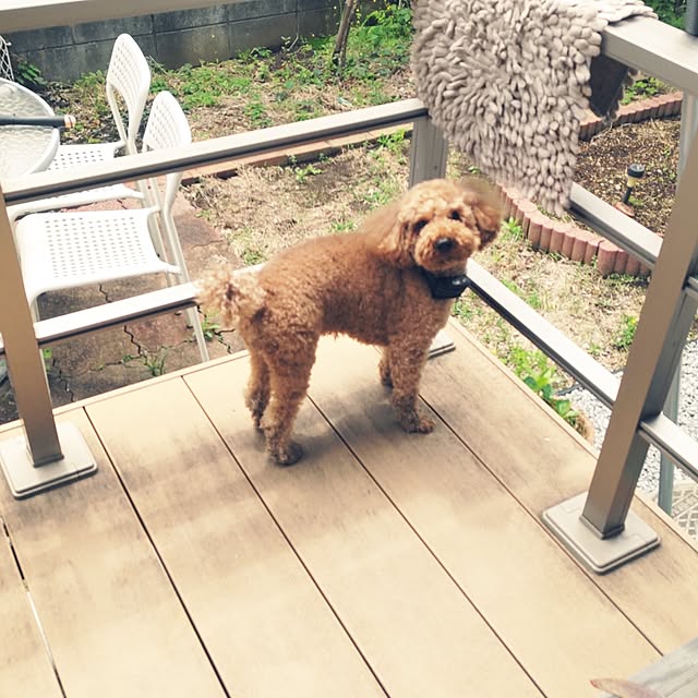 chokocreamさんの実例写真