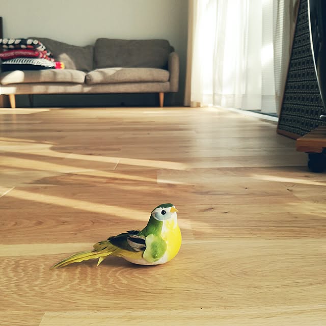 mimyさんの実例写真