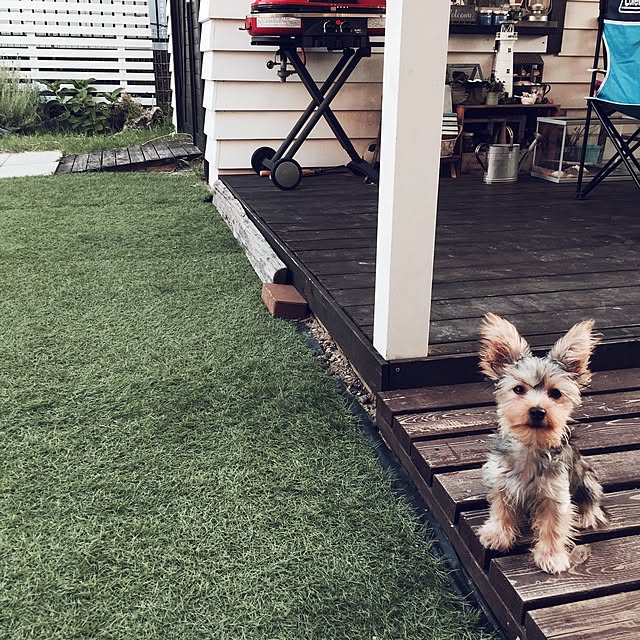 kitoneさんの実例写真