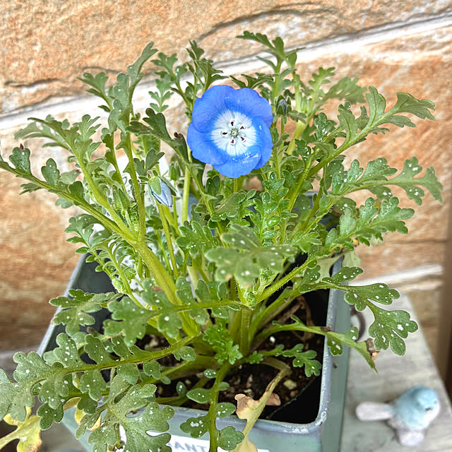 ayayayayaさんの部屋