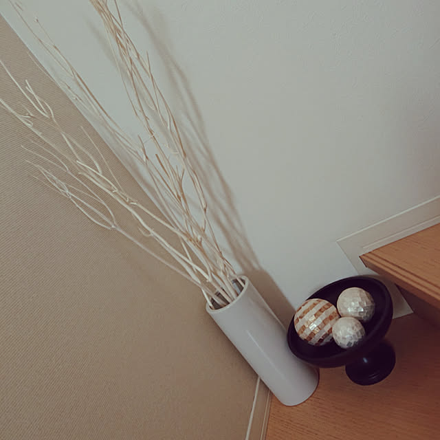 naoさんの実例写真