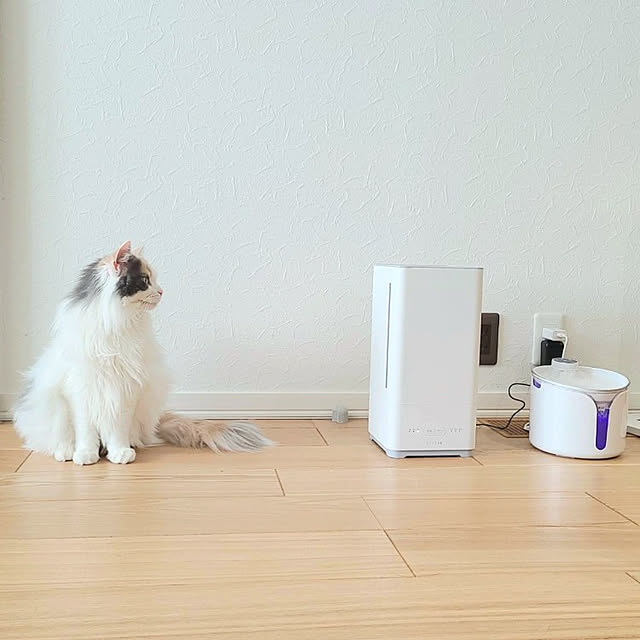 akiko6193さんの実例写真