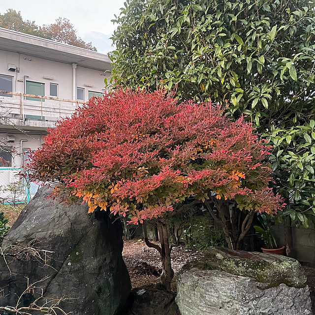 shin0719さんの実例写真