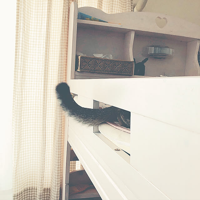 nekomiさんの実例写真