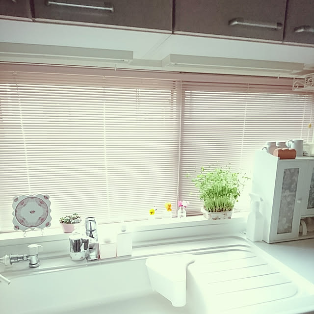 fleur-mamanさんの実例写真