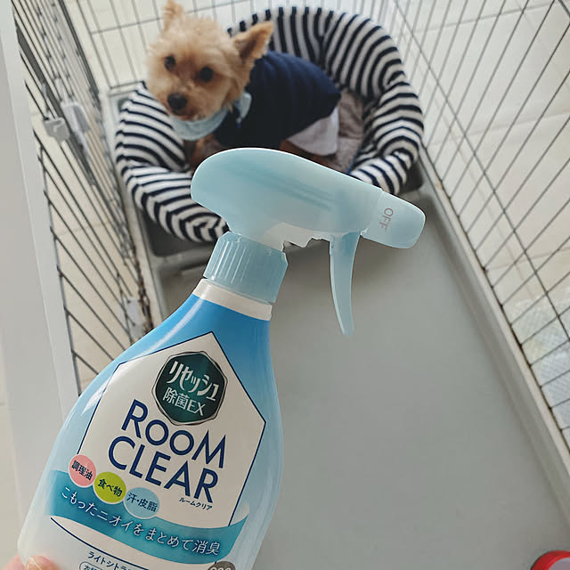 micchiさんの実例写真