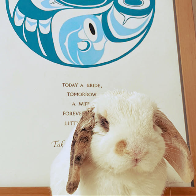kanaさんの実例写真