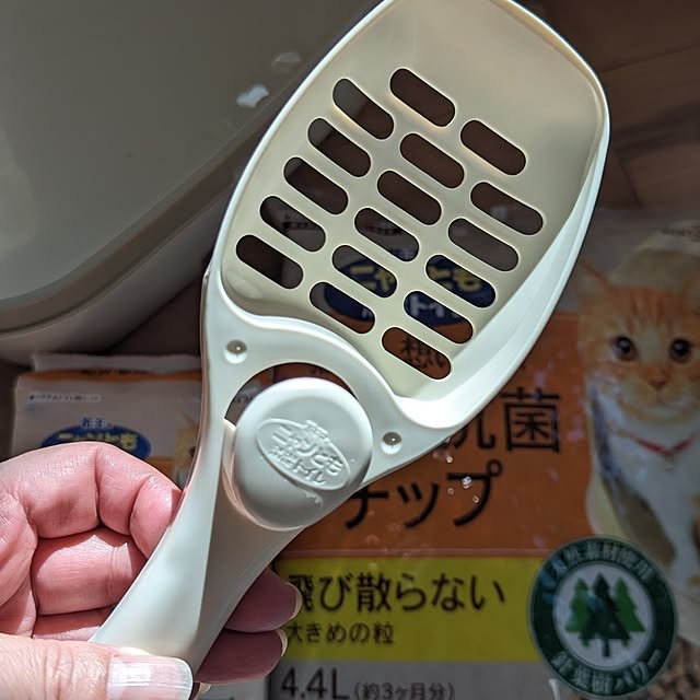 mamimamipockyさんの部屋