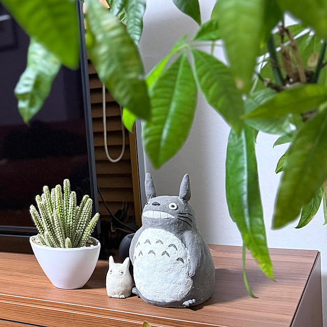 mizuyoさんの実例写真