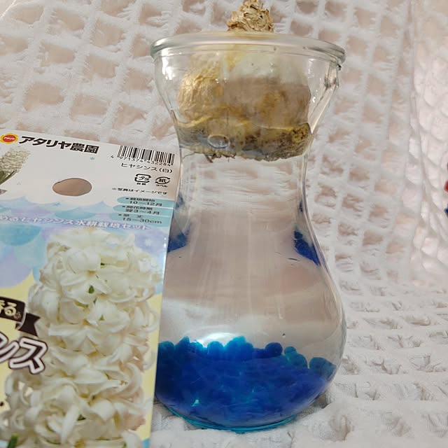 ANTENNAさんの実例写真