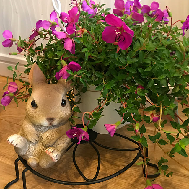emikoさんの実例写真