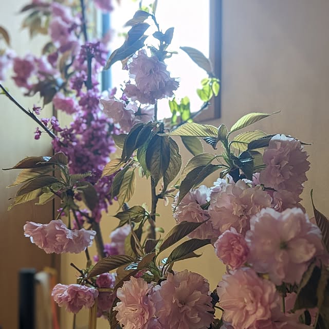 reeさんの部屋
