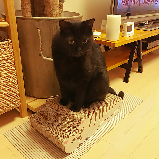 kakaoさんの実例写真