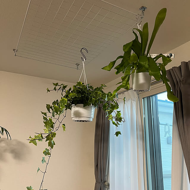 miichanさんの部屋