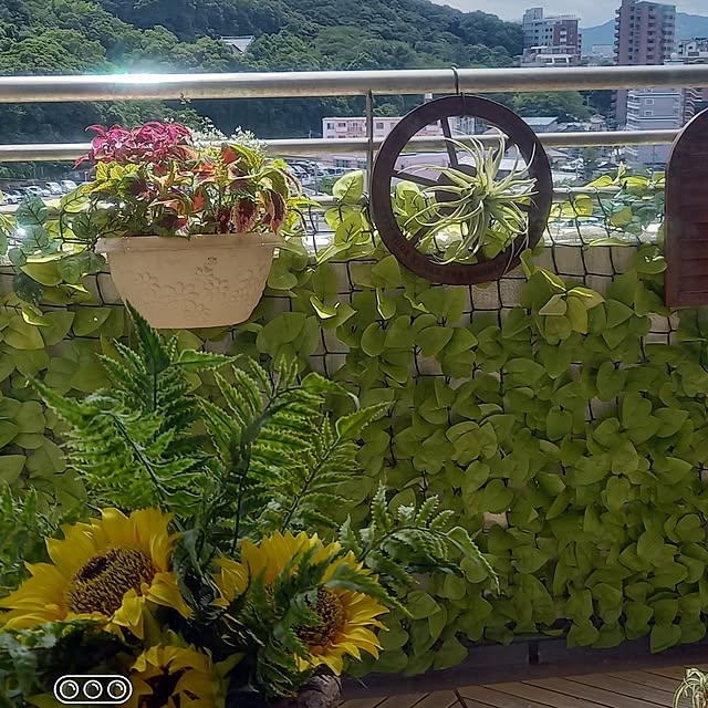 hakata-baさんの実例写真